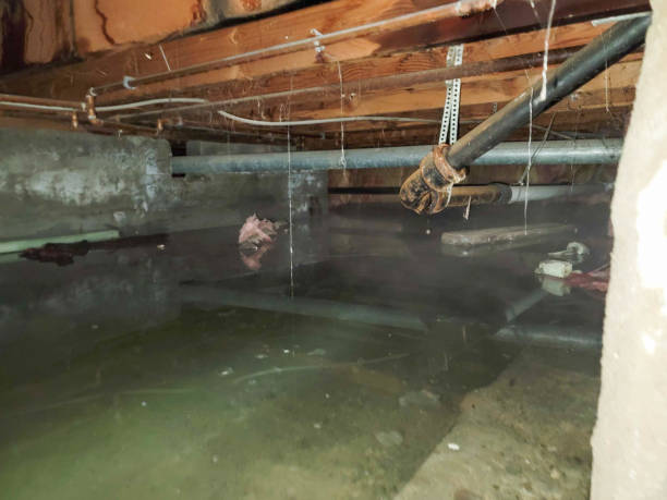Best 24/7 water damage repair  in Auburn, IN