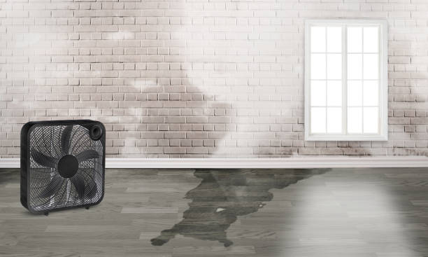 24/7 water damage repair in Auburn, IN