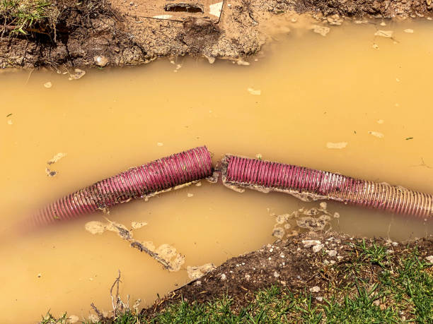 Best Residential water damage restoration  in Auburn, IN